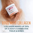 thumbnail image 2 of The Missing Link Collagen Care Hips & Joints Soft Chews 60 Count, 2 of 7