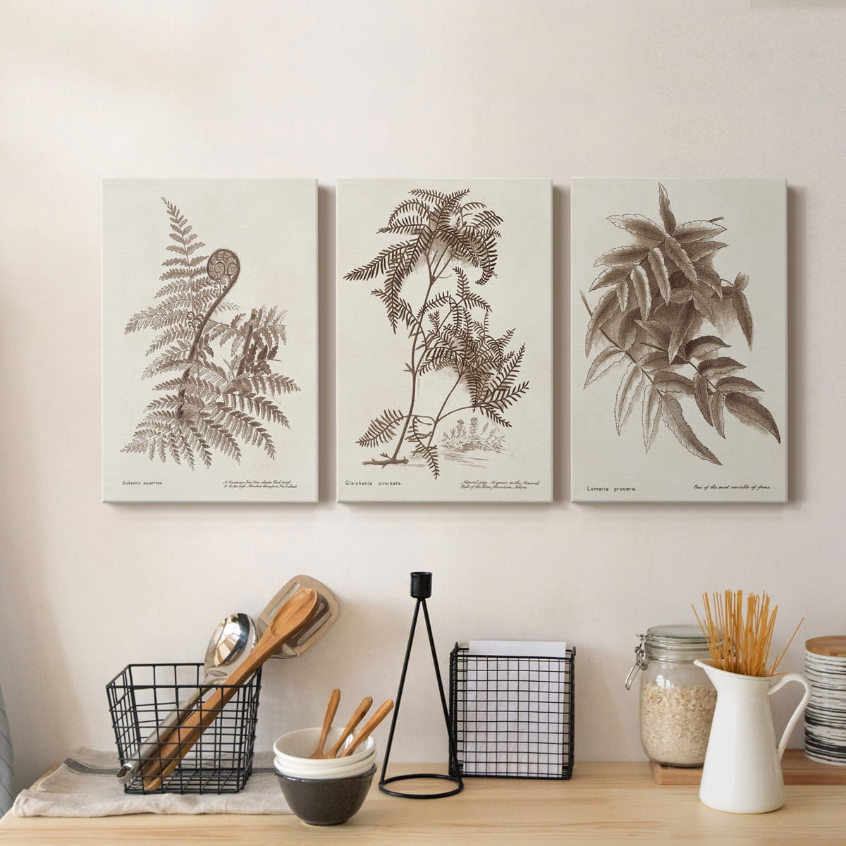 Sepia Fern Varieties I Premium Gallery Wrapped Canvas - Ready to Hang - 24 x 36 Each