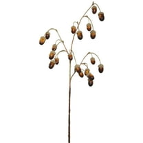 Vickerman 28" Artificial Green and Brown Acorn Spray. Includes 4 sprays per pack.