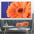 thumbnail image 1 of Orange Daisy On Purple Background - Floral Canvas Art Print, 1 of 3