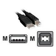 Inland - USB cable - USB (M) to USB Type B (M) - USB 2.0 - 10 ft