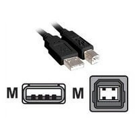 Inland - USB cable - USB (M) to USB Type B (M) - USB 2.0 - 10 ft