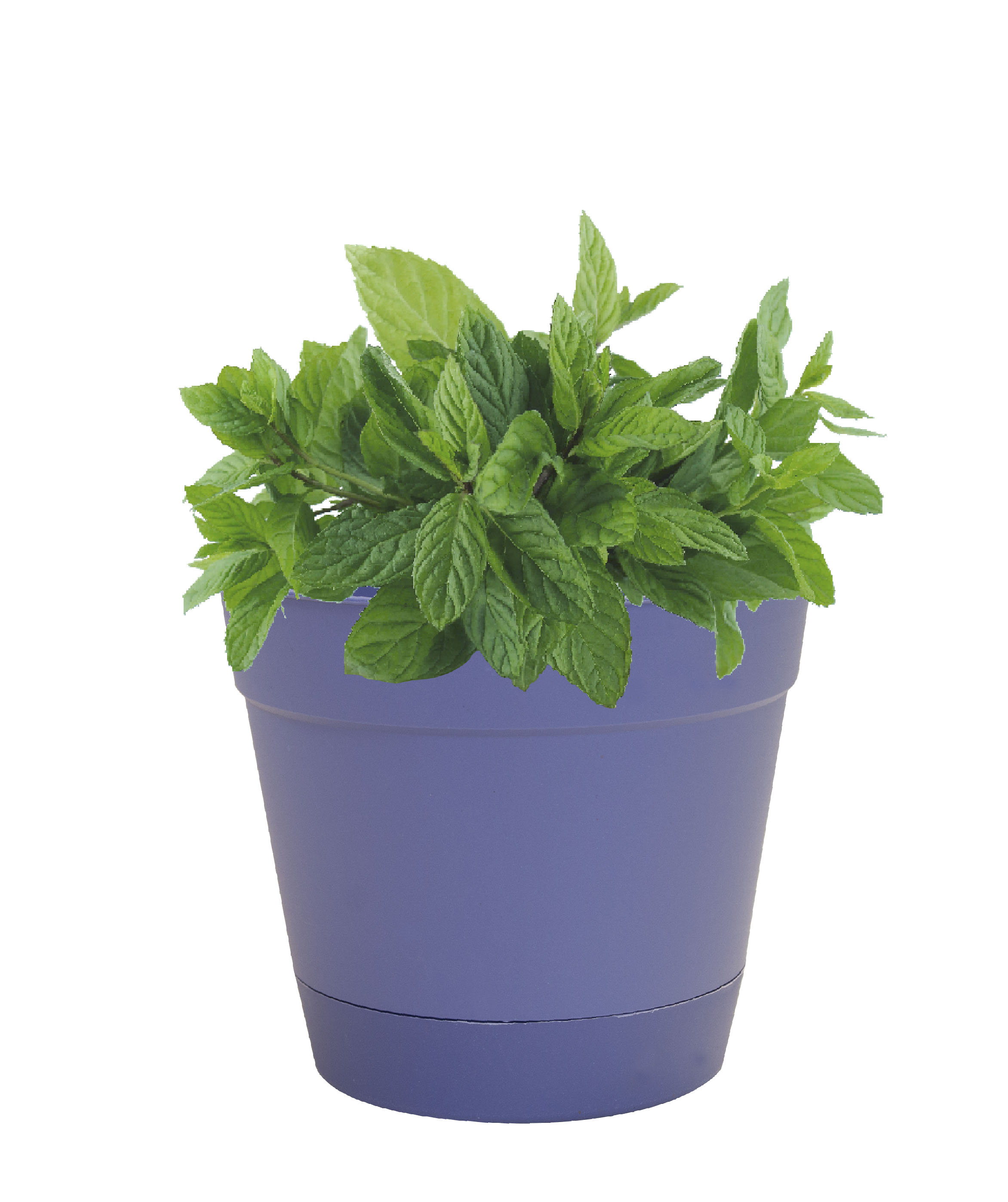 Misco Home Garden 10" Basic Planter