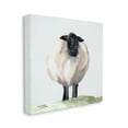 thumbnail image 3 of Stupell Farmhouse Fuzzy Sheep Portrait Animals & Insects Painting Gallery Wrapped Canvas Print Wall Art, 3 of 7