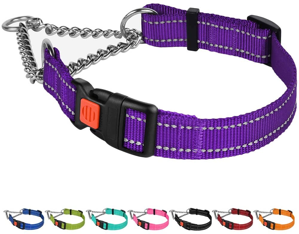 Purple martingale dog collar hot sale