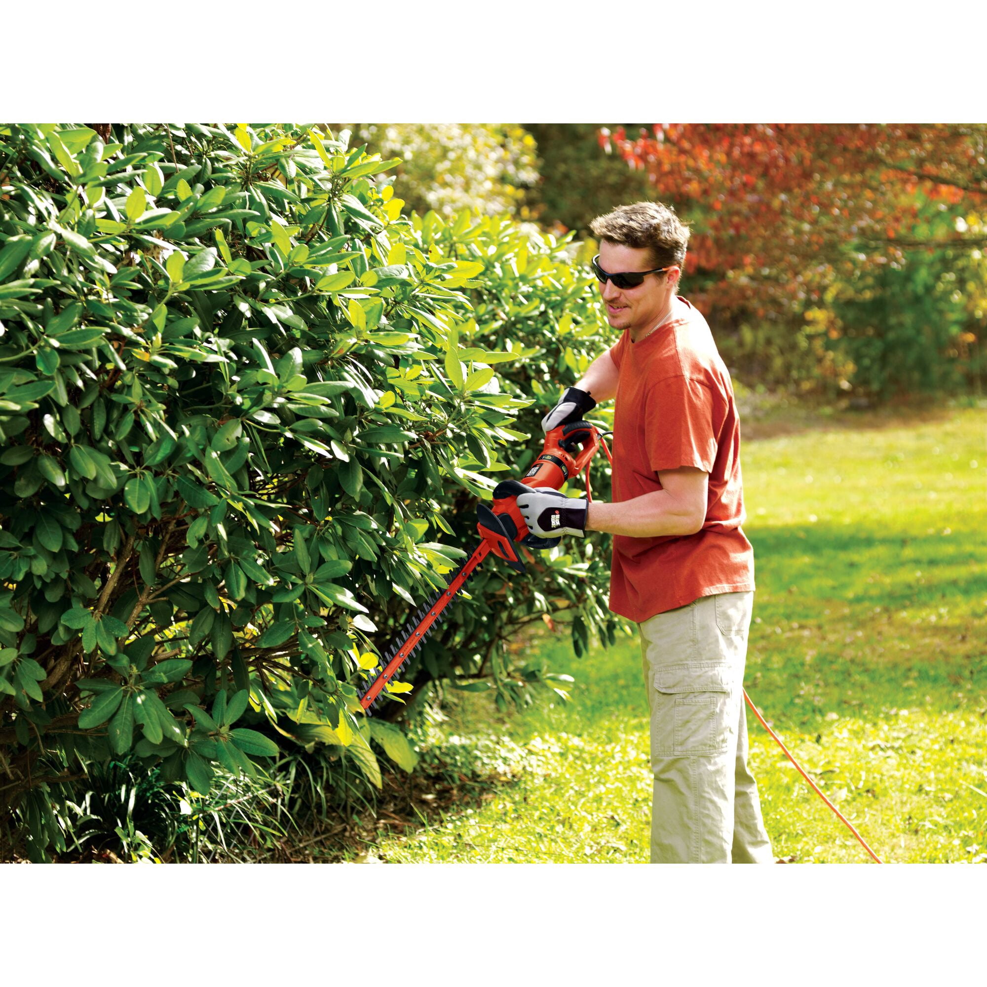 Black & Decker HH2455 24-inch HedgeHog Dual-action Blade Hedge Trimmer