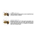 thumbnail image 3 of Planet Waves American Stage Instrument Cable - 15', 3 of 3