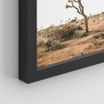 thumbnail image 5 of PixonSign Framed Wall Art Desert Cactus Texas Arizona Landscape Prints, Set of 4 Tropical Photography Wall Decor Arts, Nature Wall Décor, Adhesive Canvas Poster, Modern Home Artwork - 11"x14" Black, 5 of 5
