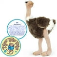 thumbnail image 5 of Ola the Ostrich | 11 Inch Realistic Looking Stuffed Animal Plush | By TigerHart Toys, 5 of 5