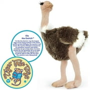 Ola the Ostrich | 11 Inch Realistic Looking Stuffed Animal Plush | By TigerHart Toys