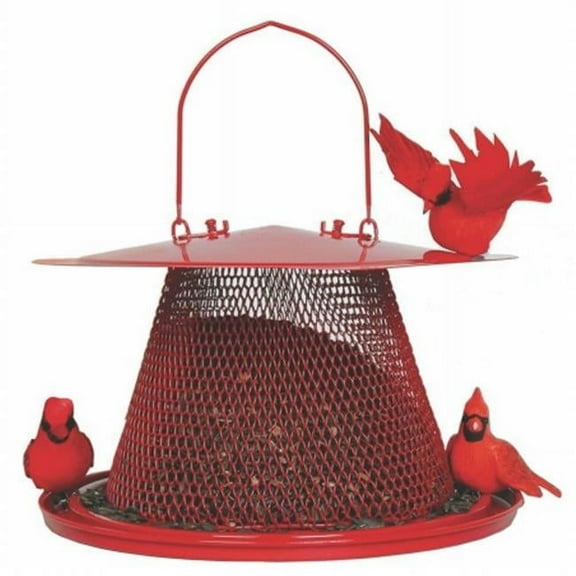 Cat Lady Squirrel Proof Cardinal Tube Feeder, Red