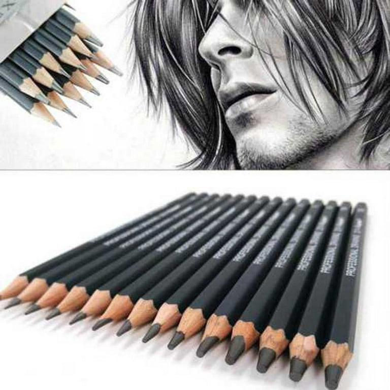 Levin Art Graphite Professional Drawing Sketching Pencil  Set- Artist Grade Degree Pencils 10B, 8B, 6B, 5B, 4B, 3B, 2B, B, HB, 2H, 4H  and 6H (Pack of 12), Art Blending