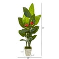 thumbnail image 2 of Nearly Natural 73in. Bird Of Paradise Artificial Plant in Country White Planter (Real Touch), 2 of 2