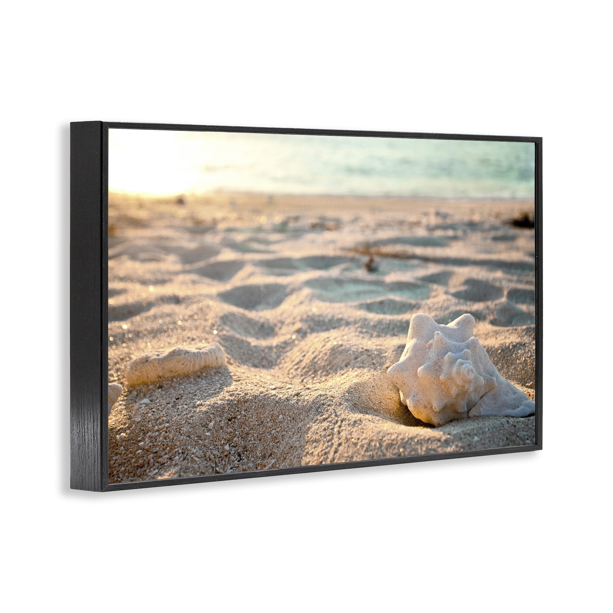 Stupell Industries Conch Shell in Sand Coastal Photography Black Framed Art Print Wall Art, 18 x 12