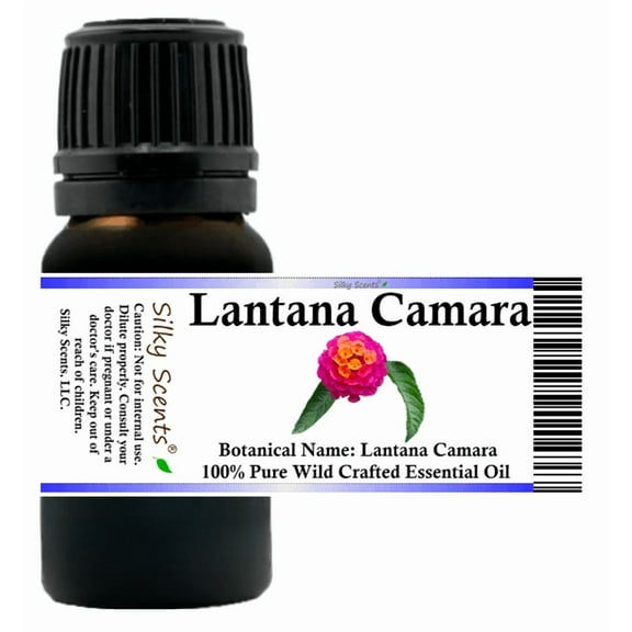 Lantana Camara Wild Crafted Essential Oil 5 ml (1/6 fl oz) - 100% Pure and Natural by Silky Scents