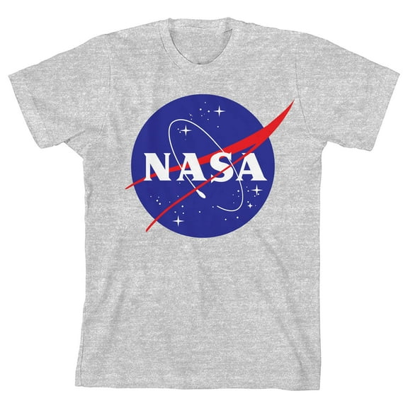 NASA Logo Boy's Heather Gray T-shirt-Medium