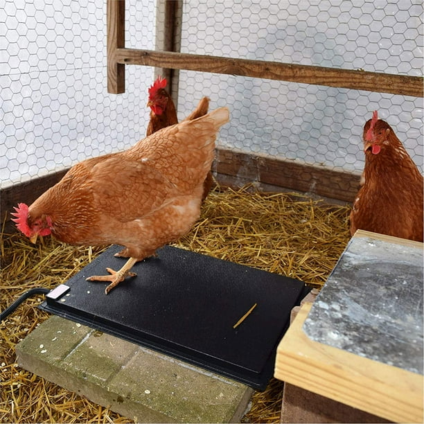 Farm innovators heated chicken mat sales