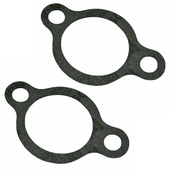 Homelite 2 Pack Of Genuine OEM Replacement Inlets 17002-Z100110-2PK