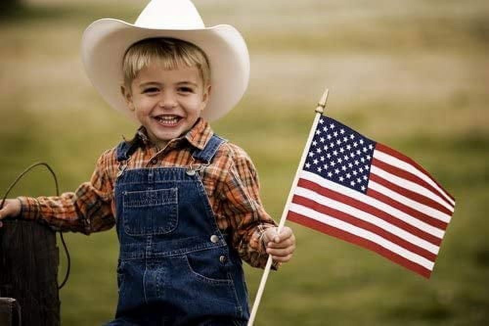 GIFTEXPRESS 8 x 12 Inch Spearhead Handheld American Stick Flags/Grave Marker American Flags USA Stick Flag (12pcs)