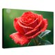 thumbnail image 1 of Cuadro Decorativo Canvas Revolution Brillo Rosa Luz 90x60, 1 of 3