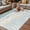 Blue White, variant on Blue Coastal Sea Turtle Outdoor Rug for Patio/Deck/Porch, Non-Slip Large Area Rug 6 x 9 Ft, Summer Beach Ocean Abstract Art Indoor Outdoor Rugs Washable Area Rugs, Camping Rug Carpet Runner