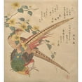 thumbnail image 3 of Kubo Shunman 20x22 Black Modern Framed Museum Art Print Titled - Pair of Chinese Pheasants and a Branch of Yamabuki&nbsp;Flowers (ca.&nbsp;1810), 3 of 5
