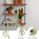 thumbnail image 5 of LITINKIMI Colgante De Rattan Planta Falsa Para De Fiestas Y Ambientes Temáticos, 5 of 6