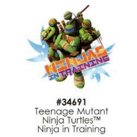 Teenage Mutant Ninja Turtles Ninja in Training Cake Decoration Edible Frosting Photo Sheet