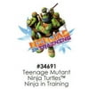 Teenage Mutant Ninja Turtles Ninja in Training Cake Decoration Edible Frosting Photo Sheet