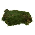thumbnail image 5 of Vickerman 1.1 Lbs Bag of Green Sheet Moss, Preserved, 5 of 7