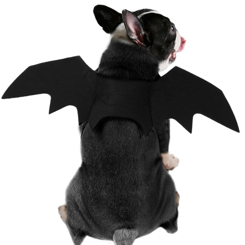 Buy Cat Halloween Costume - Black Cat Bat Wings Cosplay - Pet Costumes ...