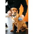 thumbnail image 4 of Dexas Popware for Pets BrushBuster Silicone Dog Grooming Brush, 4 of 4