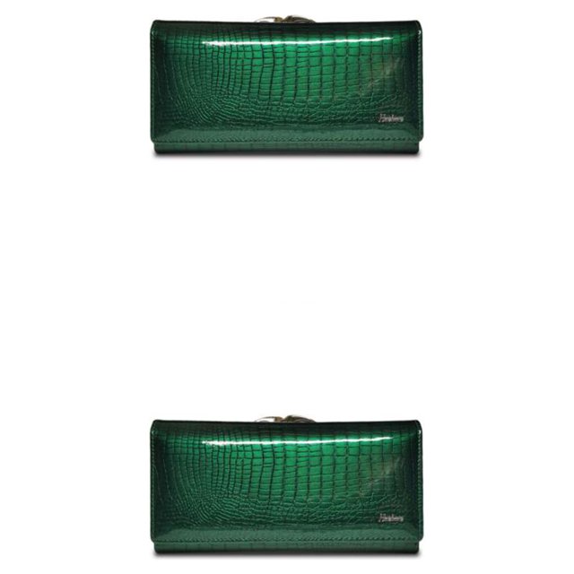 Guardurnaity Cartera larga para mujer, monedero de almacenamiento de cambio de cuero, portatarjetas de débito portátil, bolsa de transporte, Verde 2piezas