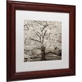 thumbnail image 2 of Trademark Fine Art "Hampton Magnolia II" Canvas Art by Alan Blaustein, White Matte, Wood Frame, 2 of 4