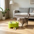 thumbnail image 4 of Cheese Box interactive Cat toy for indoor Cats, 3-in-1 Whack A Mole Feather toy, 3 Modes Rechargeable Auto Cat toys for Bored Cats, 4 Holes Kitten toy, 4 Accessories, 4 of 4