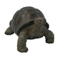 thumbnail image 5 of Hi-Line Gift 7 in Grey-Brown Tortoise Garden Statue, Incredibly Realistic Details, 5 of 5