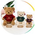 thumbnail image 4 of Nuevo suéter de oso de peluche de juguete de peluche de oso de peluche - HAPDEN, 4 of 4