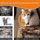 thumbnail image 4 of Couch Scratch Protector Cat Sofa, Anti-scratch Furniture Protector, 4 of 5