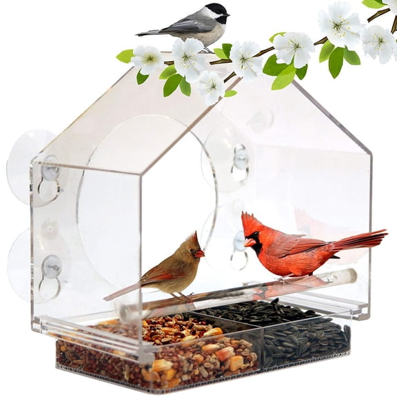 GUCHO Window Bird Feeder with 5 Extra Strong Suction Cups, Sturdy and Durable Acrylic Bird Feeders for Viewing Wild Bird Outside, as a Bird Watching Gift, Outdoor Bird Feeder, and Garden Decor