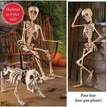 Posable Skeleton Halloween Decor