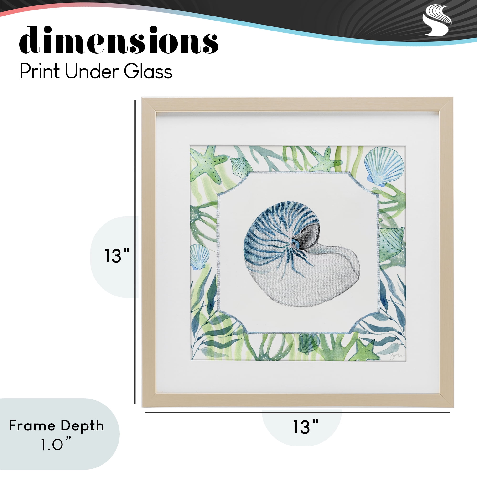 Stupell Industries Seaweed & Seashells Aquatic Birch Framed Print Under Glass, design by Janet Tava