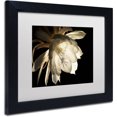 thumbnail image 2 of Trademark Fine Art "Midnight Portrait" Canvas Art by Kurt Shaffer White Mat, Black Frame, 2 of 4