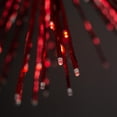 thumbnail image 2 of Supernova, 2 of 6
