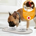 thumbnail image 3 of Dog Food Mat Anti-Slip Bowl Mats for Food and Water, High-Lips Waterproof Pet Placemat Prevent Messy Spills to Floor, Silicone Puppy Feeding Trays ，12" x 19", 3 of 7