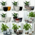thumbnail image 2 of Flowerpot Market! 3pcs Set Modern Outdoor/Indoor Round Planter, Lightweight Flowerpots, Weather Resistant, Polymer Finish, Commercial Grade And Residential, 2 of 8