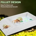 thumbnail image 7 of Tortoise Bathing Basin Small Size, Water Food Bowl With Terraced Design, For Yellow Edge Box Turtles, Semi Aquatic Turtles, Reptiles, Lizards, 7 of 7
