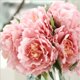thumbnail image 3 of Artificial 5 Cabezas de Seda de Peonía Ramo de Flores Decoración de La Boda Fiesta en Casa 10 Colo 2 Zulema Peony ramo de flores, 3 of 8