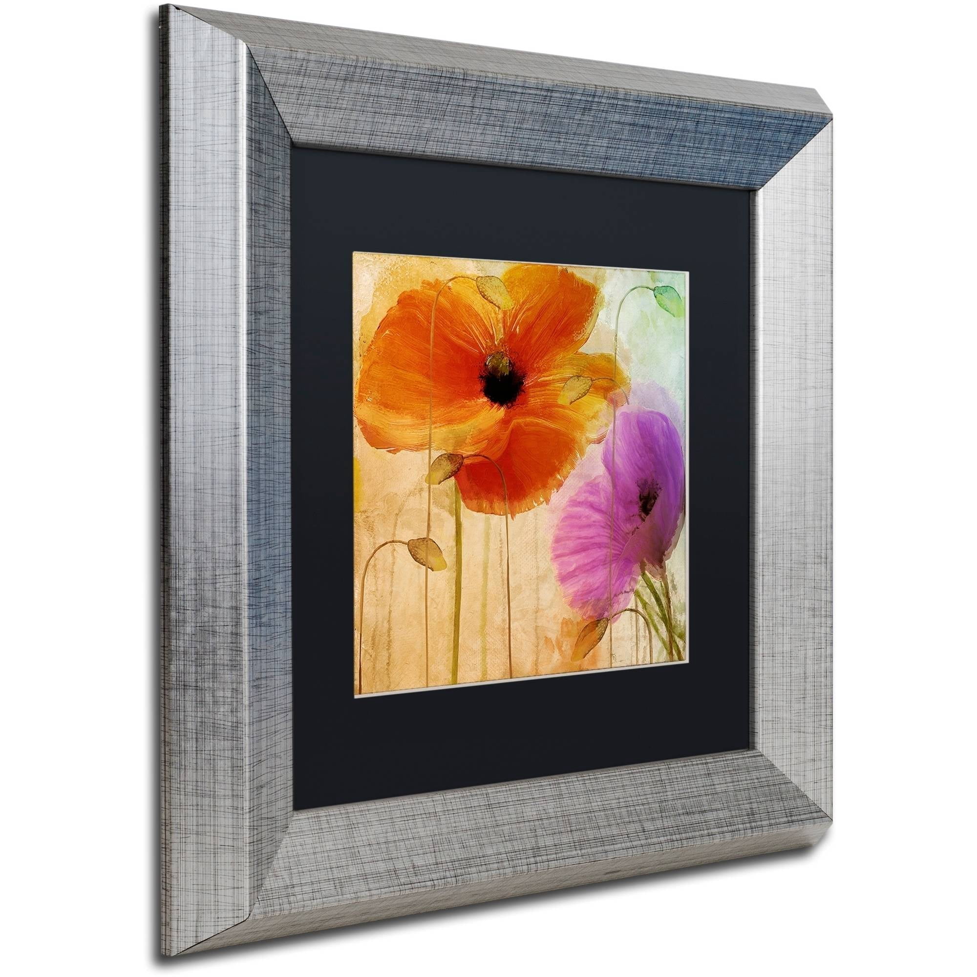 Trademark Fine Art "Penchant For Poppies II" Canvas Art by Color Bakery Black Matte, Silver Frame
