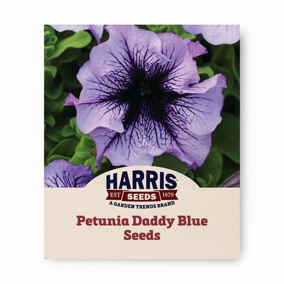 Harris Seeds - Petunia Daddy Blue F1 Seeds - Extra-Large Ruffled Flowers - 500 Seeds