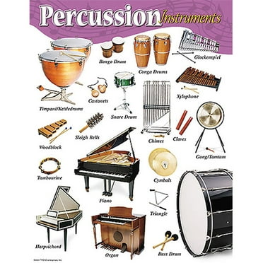 PERCUSSION INSTRUMENTS Learning Chart 17x22 [T38102]